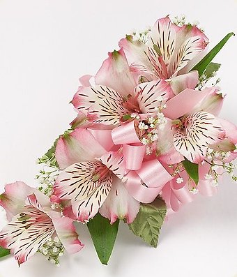 Alstroemeria Corsage