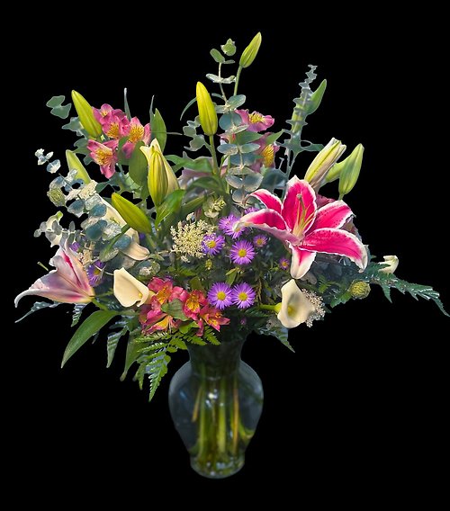 Stargazers