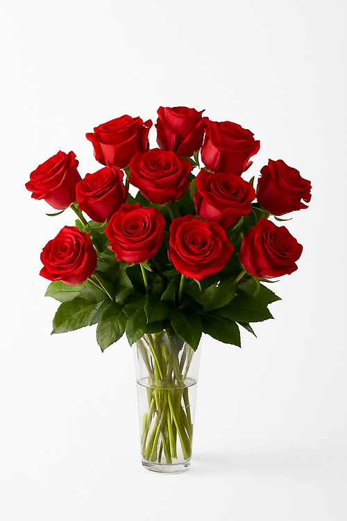 One Dozen Red Roses
