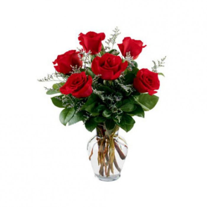 Half Dozen Premium Red Roses