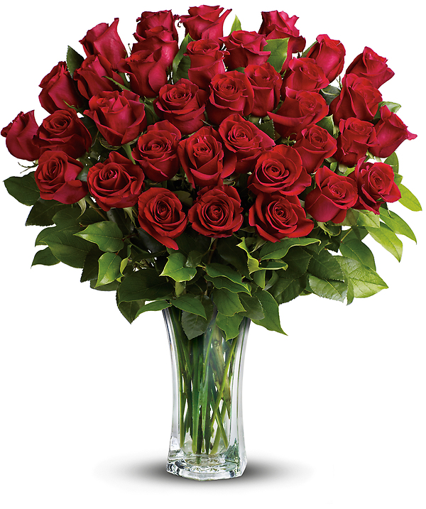 24 Long Stemmed Red Roses