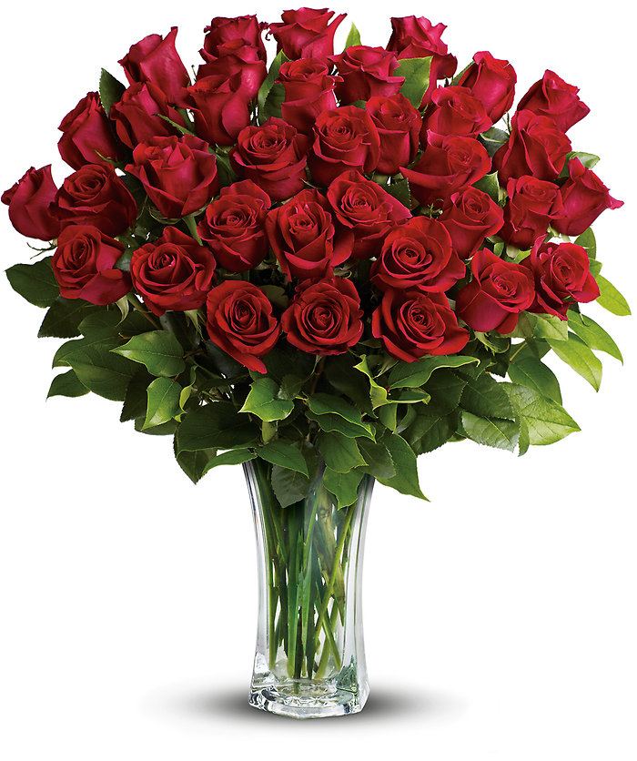 24 Long Stemmed Red Roses