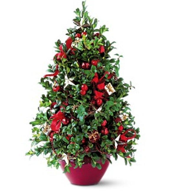 Deck the Halls Tree
