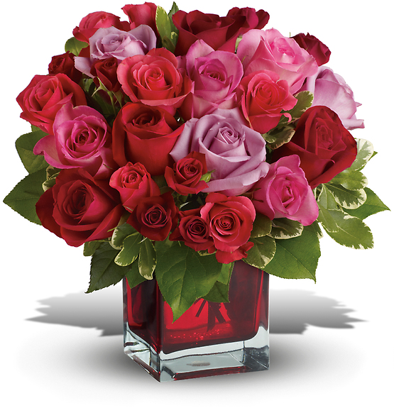 Madly in Love Bouquet with Two Dozen Roses