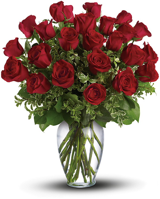 Always on My Mind - Long Stemmed Red Roses