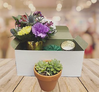 Succulent and Flower Gift Box