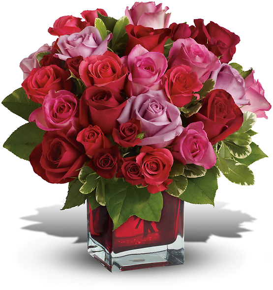 Madly in Love Bouquet with Two Dozen Roses